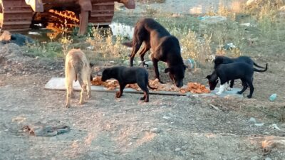 BİDOKUNDER BİR DOKUNUŞ BİR YAŞAM DERNEĞİ
