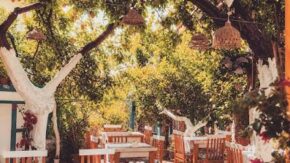 KAŞ HAKKINDA