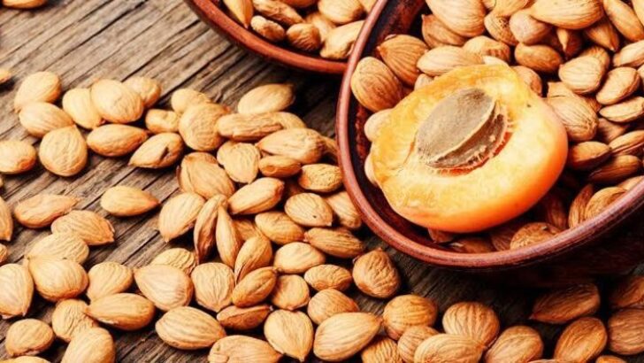 Kayısı çekirdeği şifa kaynağı! Kanserli hücreleri öldürüyor