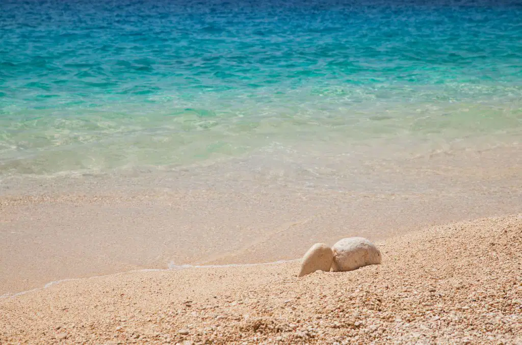 KAŞ HAKKINDA