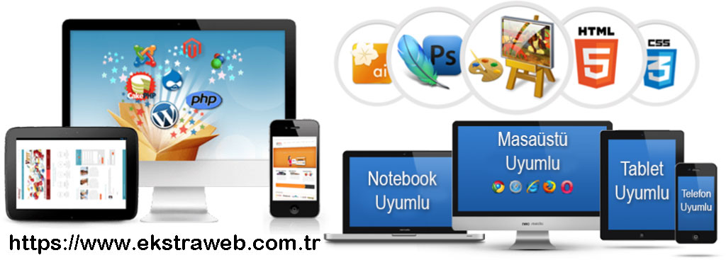 WEB DESİGN